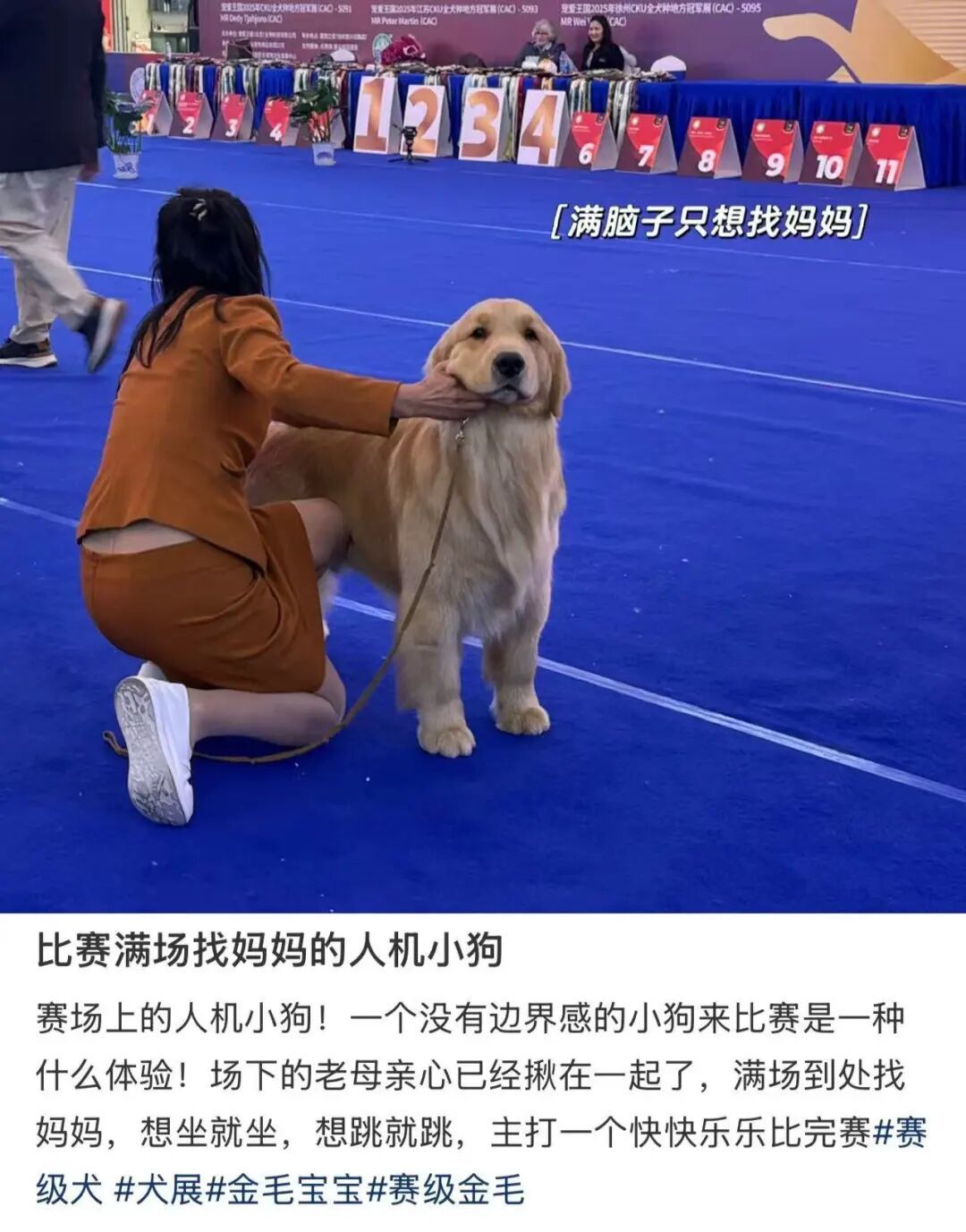 〓 图源小红书用户@糯米虫子