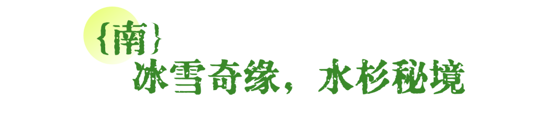 夏日新疆草原旅行出游路线推荐公众号双封面 (1).png