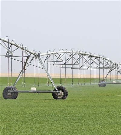 指针式喷灌机正在作业。