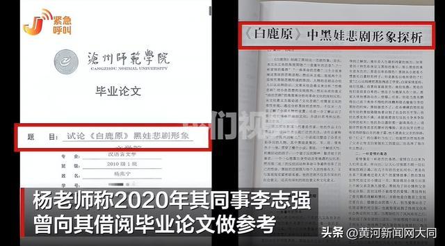 ▲新京报我们视频出品(ID:wevideo)