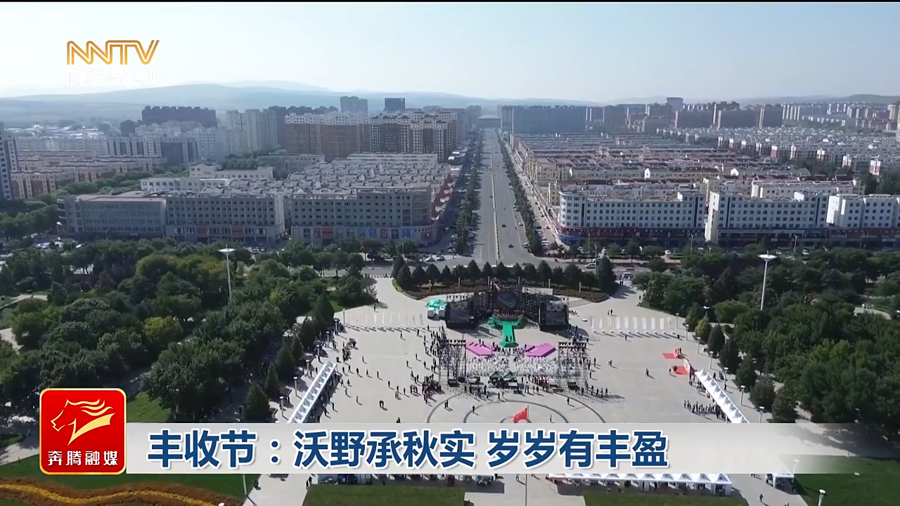 视频截图