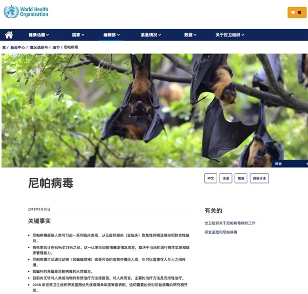 印度这致死率75%的尼帕病毒 真的会成为下一个新冠吗