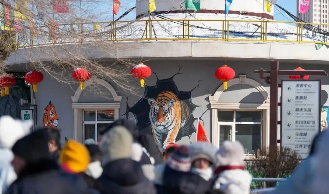 游客在景区里排队。图据黑龙江东北虎林园公众号