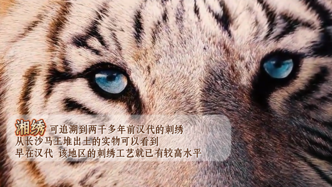 微信图片_20260930221651_183_64
