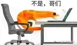 影石这操作,把全体网友都整不会了