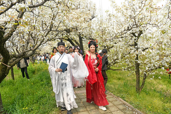 4月1日，在安徽淮南寿县八公山乡张管村，扮演“花神”的演员在梨园中巡游。