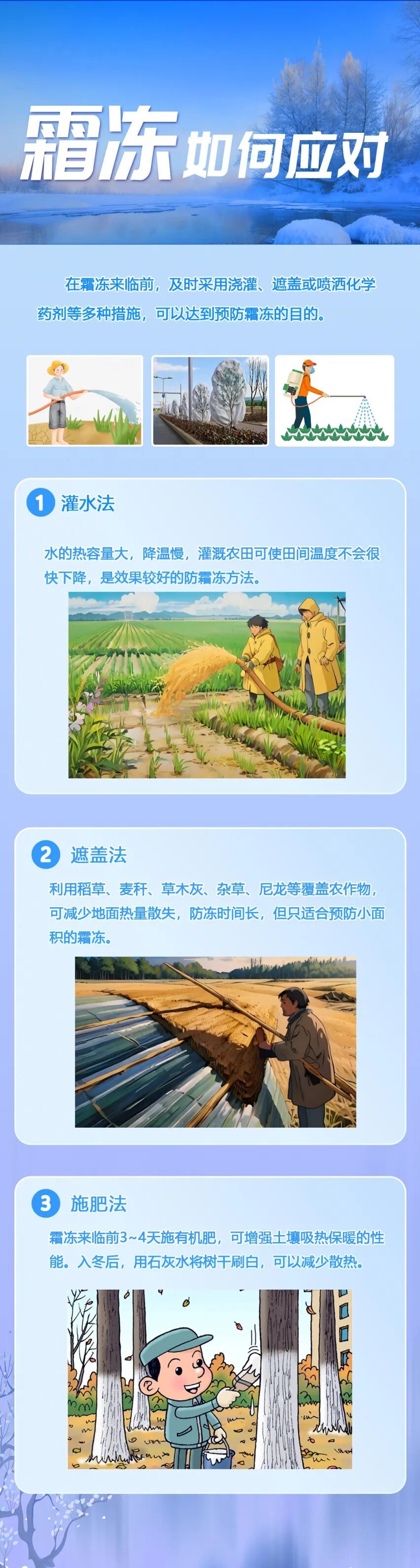 49.霜冻如何应对-李婵-完成.jpg