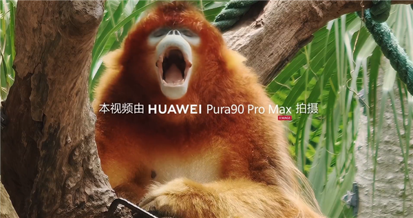 华为Pura 90 Pro Max首次搭载2亿像素长焦:支持20倍长焦视频拍摄