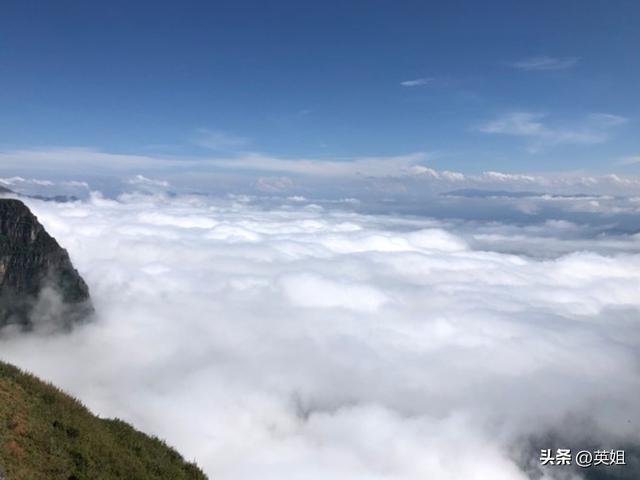 图片来自免费图库