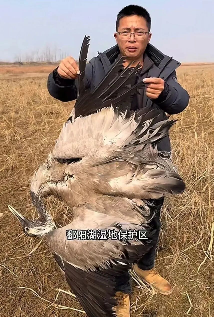 网友“渔猎齐哥”在视频里举起一只白头鹤尸体 / 图源：@渔猎齐哥