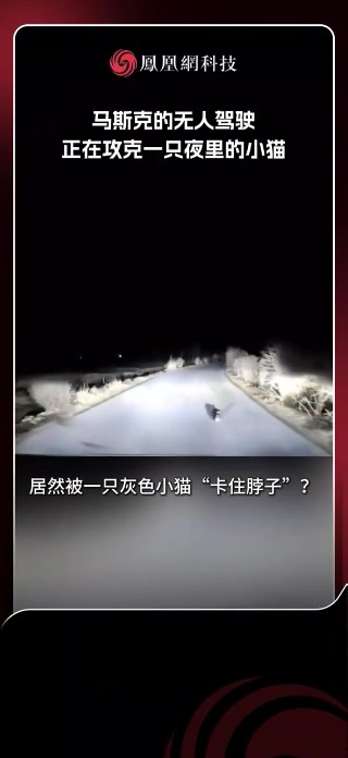 特斯拉无人车，居然被一只灰色小猫难住了？#特斯拉 #无人驾驶