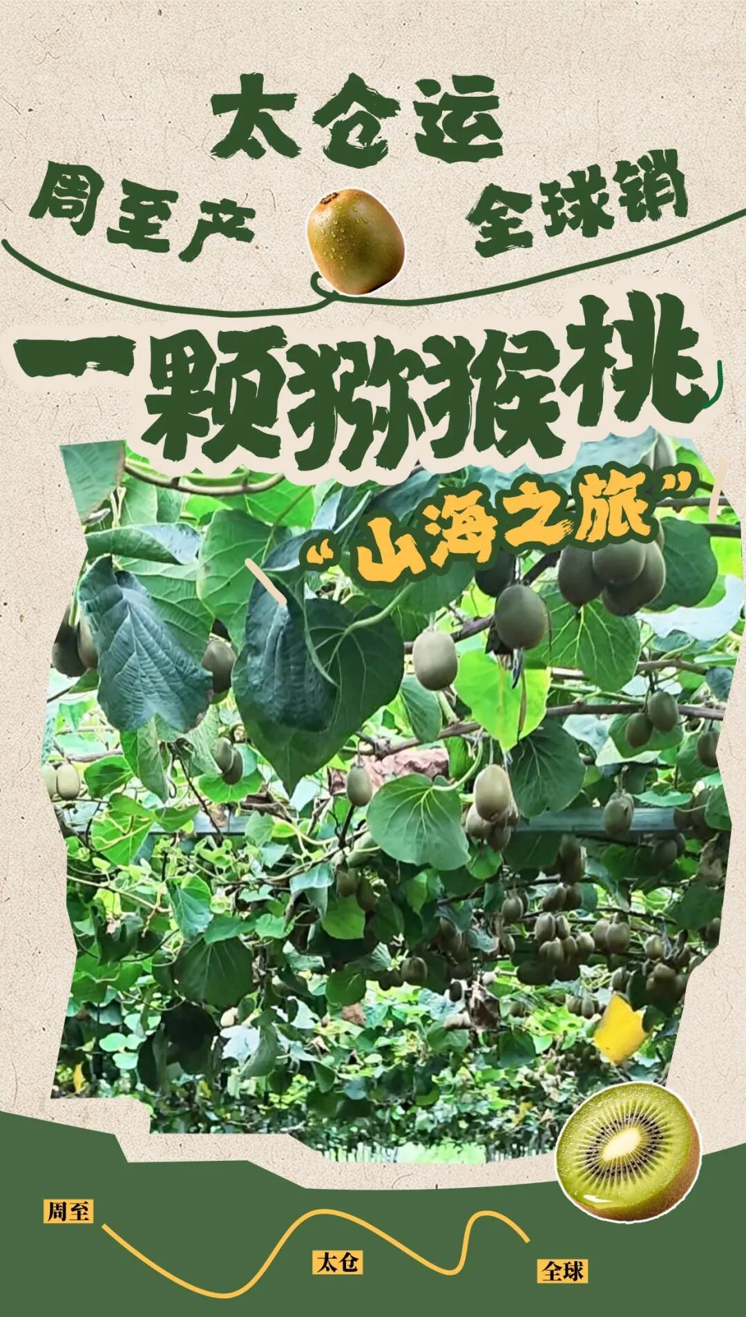 旅游一起游贵州夏季旅游出行海报.jpg
