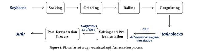 第一批自制霉豆腐的人已经是绝命毒师了