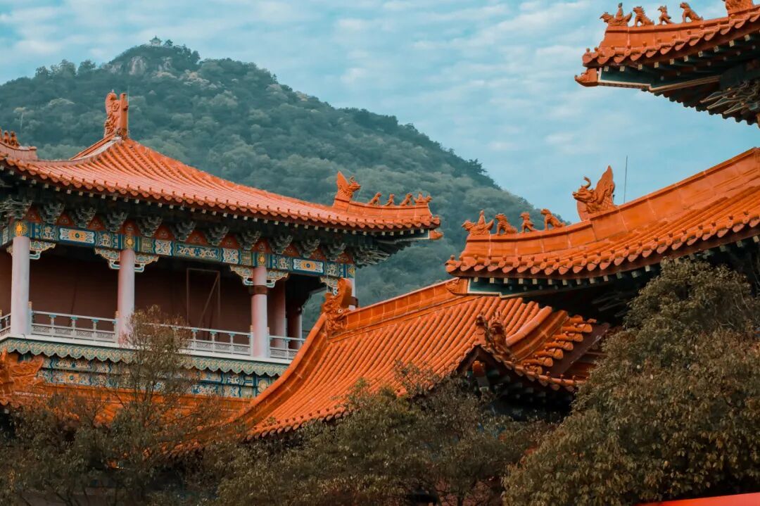 图虫创意-1429219035785592839.jpeg