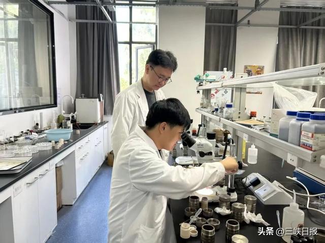图片来源:三峡大学