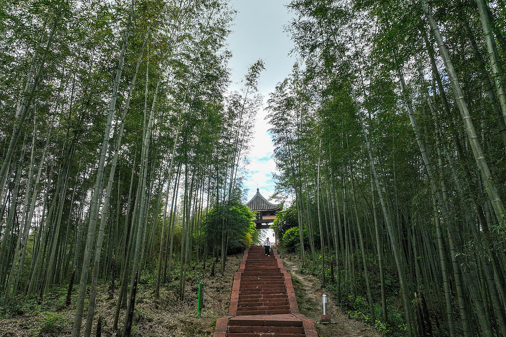 贵州赤水竹海国家森林公园 瞿宏伦 摄