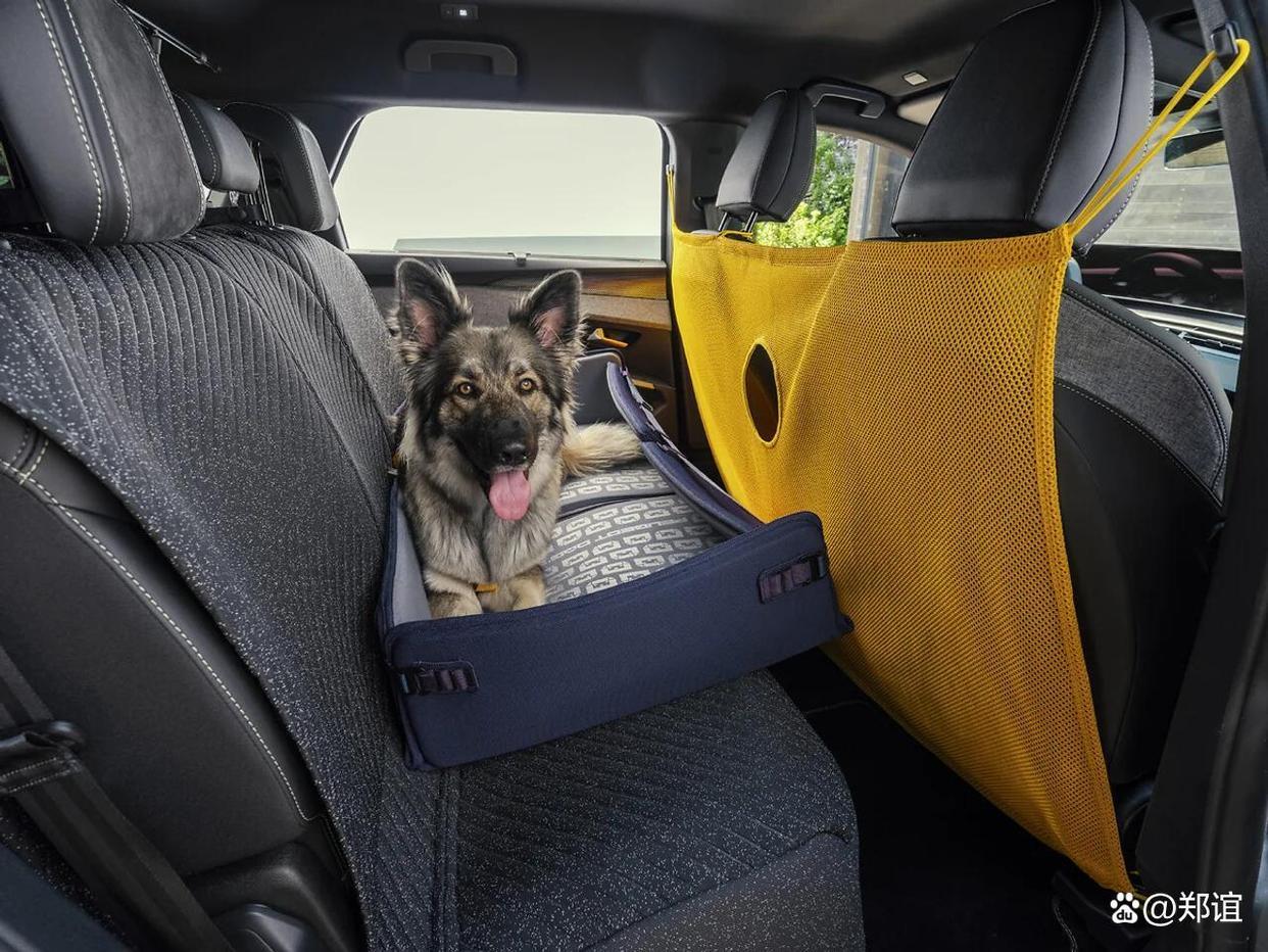 面向宠物犬打造车载体验,标致 E-5008 “狗狗版概念车” 正式发布