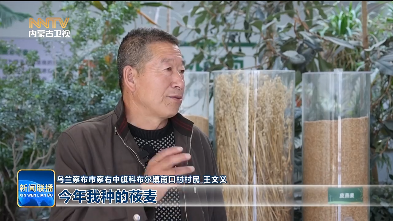 视频截图