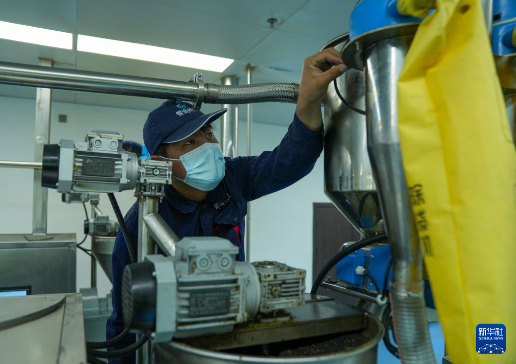 西藏山南市扎囊县重点招商引资企业——西藏纳兰生态产业有限公司工作人员在检查菜籽压榨机（3月17日摄）。新华社记者 晋美多吉 摄