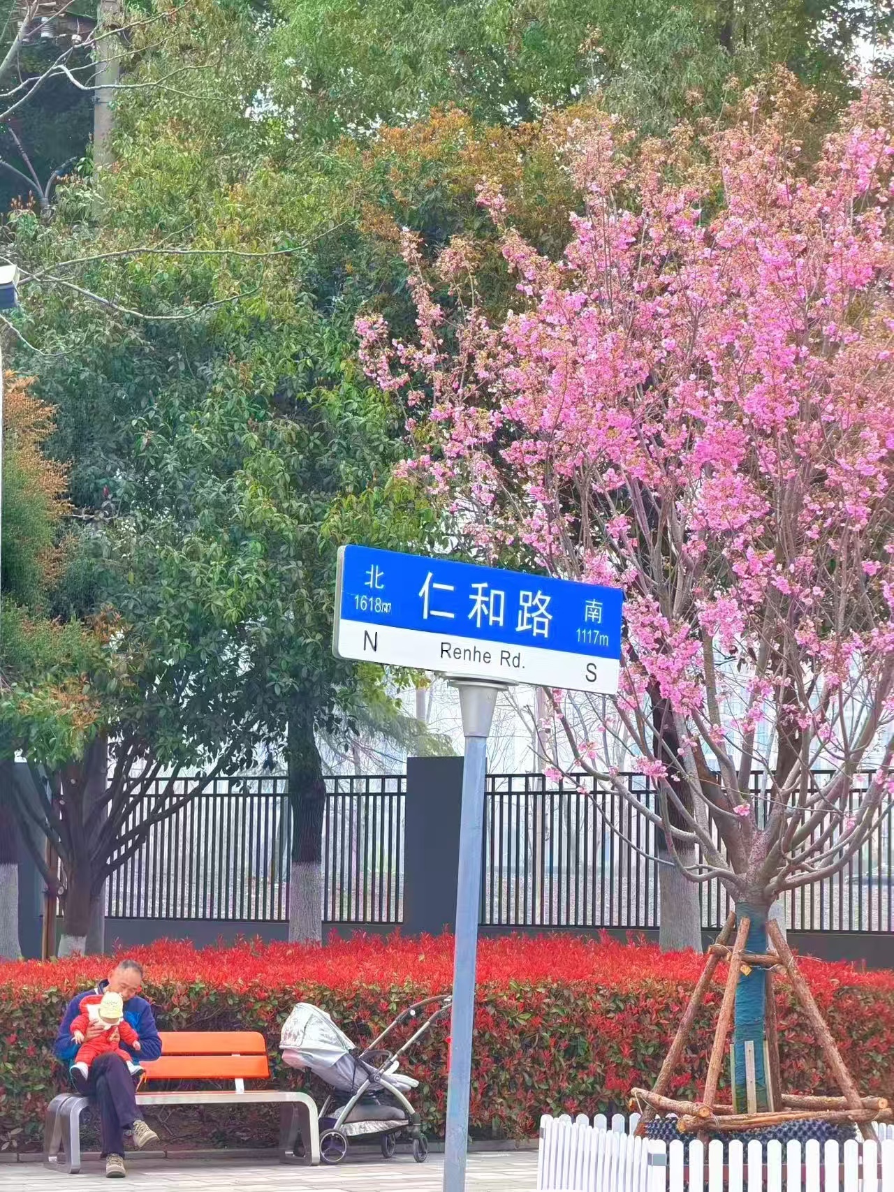 仁和路崭新迎客