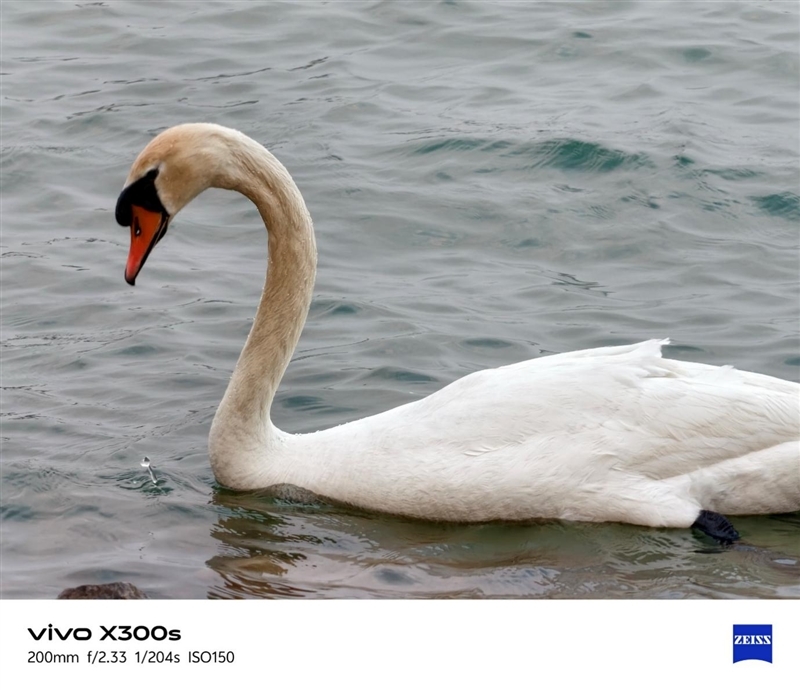 天玑9500搭配蔡司影像 vivo X300s手机全面评测:省心耐用的直屏主力机