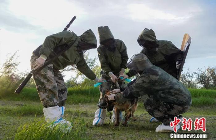 巡边途中护边员为巡逻犬喷防蚊药剂。陈洋摄