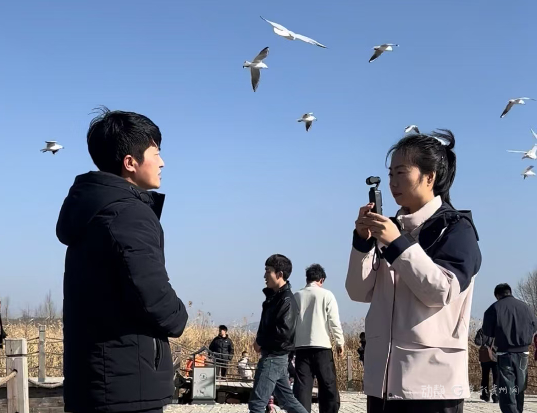 新春走基层丨2800多只黑颈鹤的“中国驿站”