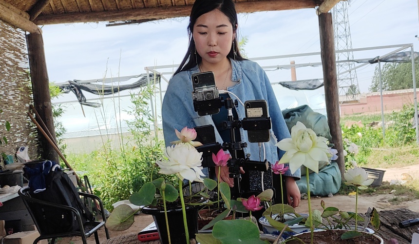 网络直播销售微莲。王俊平摄