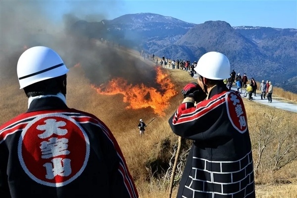 日本这座山不允许长树 每年都要烧一次！游客可付费体验