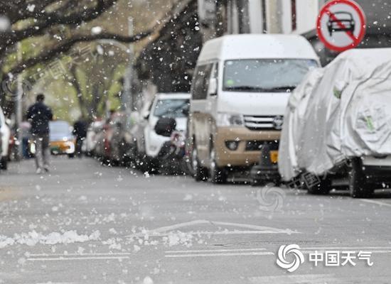 △2025年北京四月飞絮