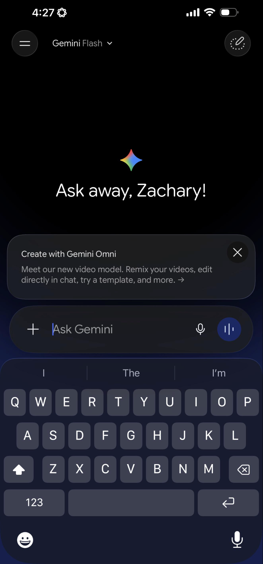 得到意外访问的 Gemini 截图