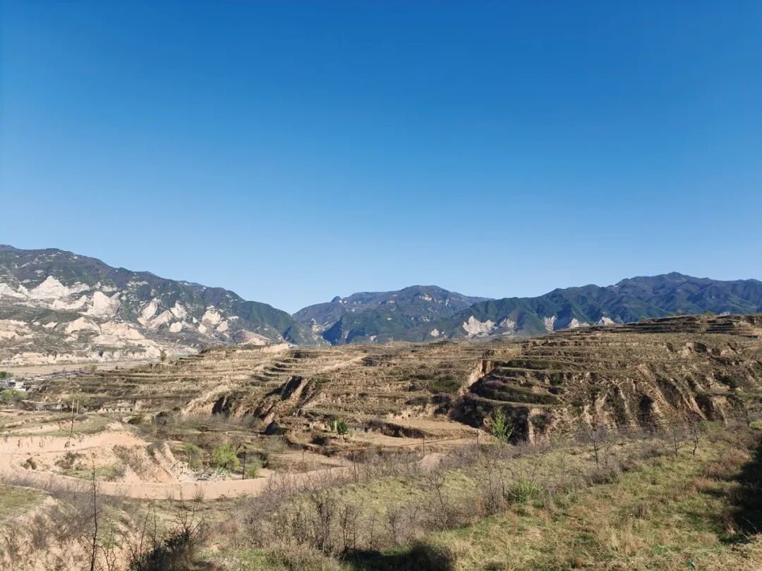 “没有腿的灵魂”在户外收集材料时看到的风景。（图 /由被访者提供）
