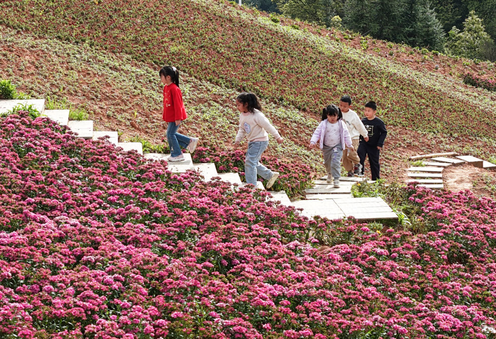 ↑4月4日，在湖南省衡东县洣水镇，小朋友们踏青赏花（无人机照片）。新华社发（曹正平摄）
