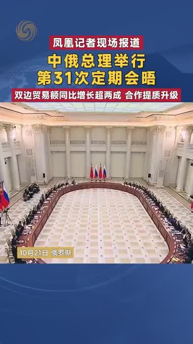 中俄总理举行第31次定期会晤