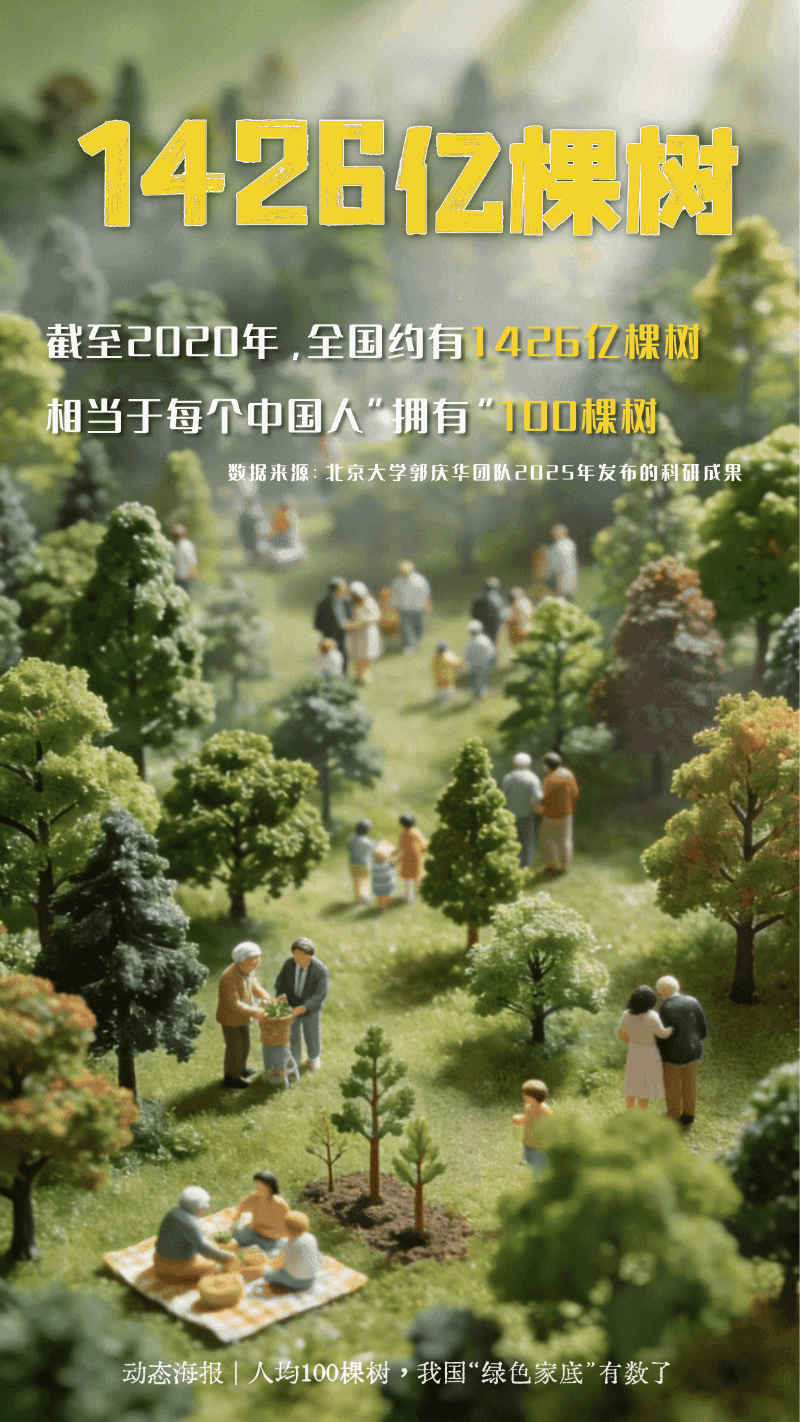 人均100棵树!一组动态海报看我国“绿色家底”