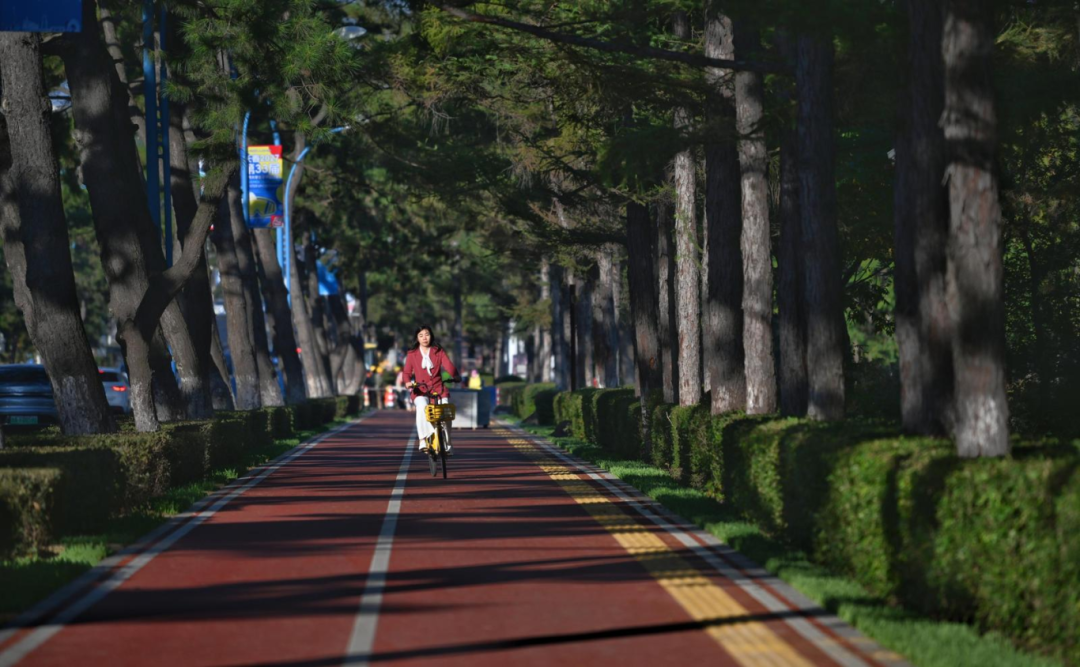 6db86524-37c2-4214-ba9e-8009cc58ef5d.png