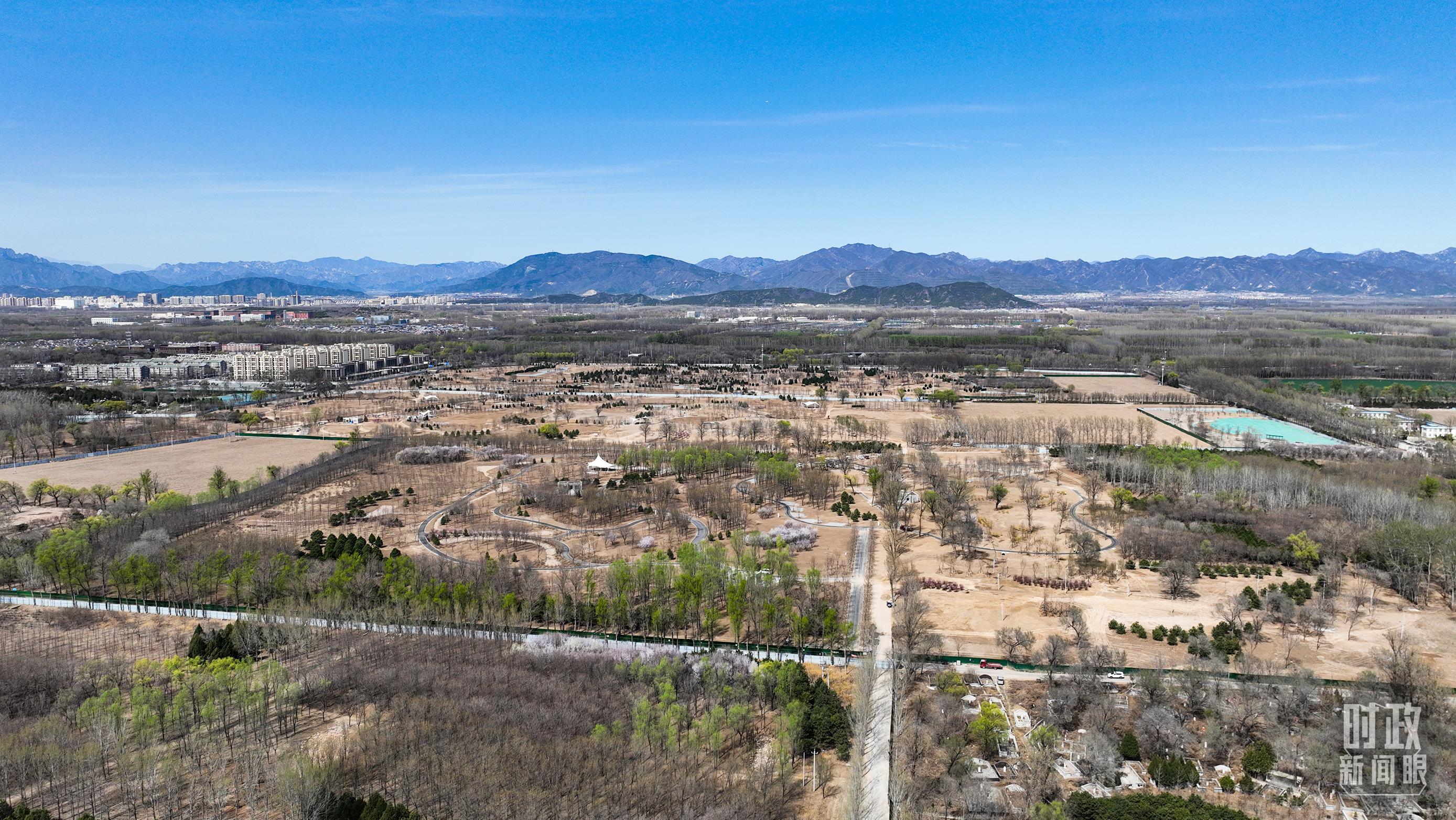 △远眺昌平区百善镇植树点。（总台央视记者范凯拍摄）