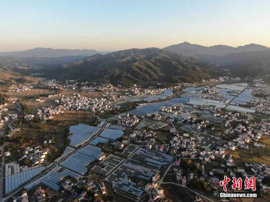 11月27日,航拍位于江西赣州于都县的梓山镇万亩富硒蔬菜产业园,只见一座座蔬菜大棚鳞次栉比,从空中俯瞰十分壮观。梓山镇万亩富硒蔬菜产业园主要种植富硒丝瓜、茄子、辣椒、苦瓜等蔬菜,全年蔬菜产量达6万吨,产值3.6亿元。.jpg
