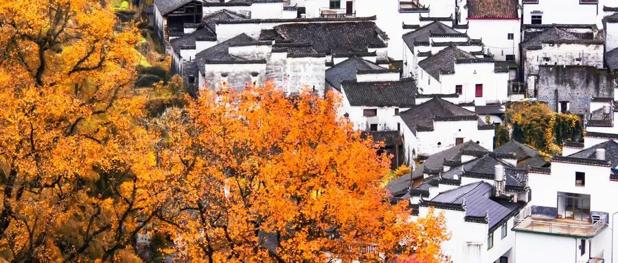 摄图网_501216194_婺源景色(企业商用).jpg