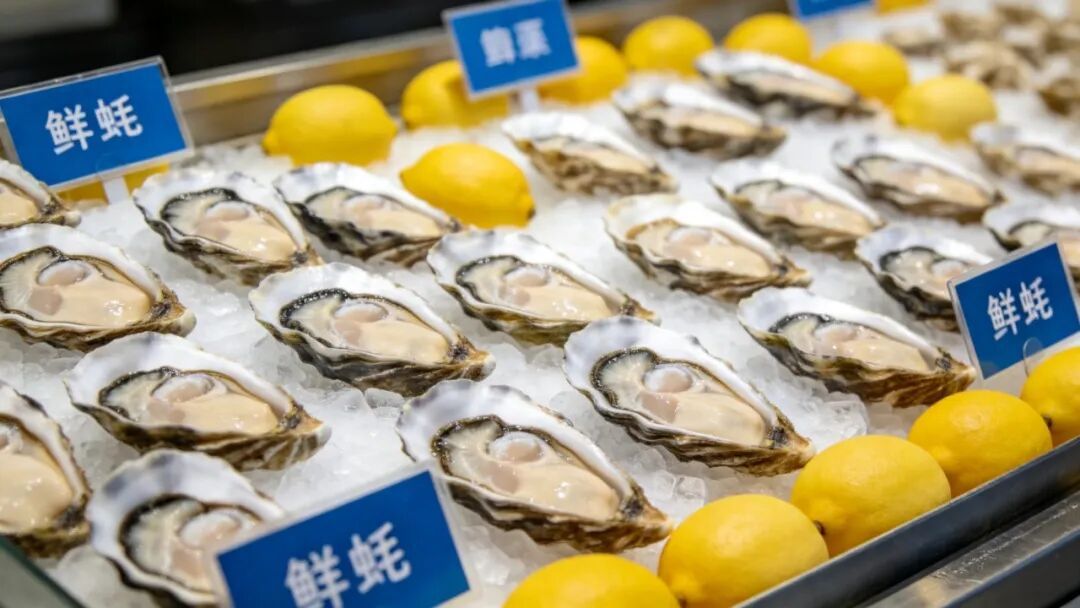 摄图网_701831399_海鲜柜台陈列的新鲜鲜蚝配_(企业商用).jpg