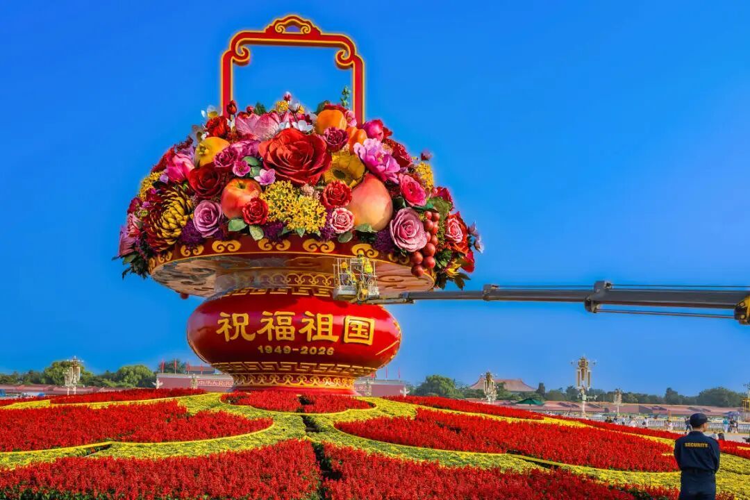国庆大花蓝