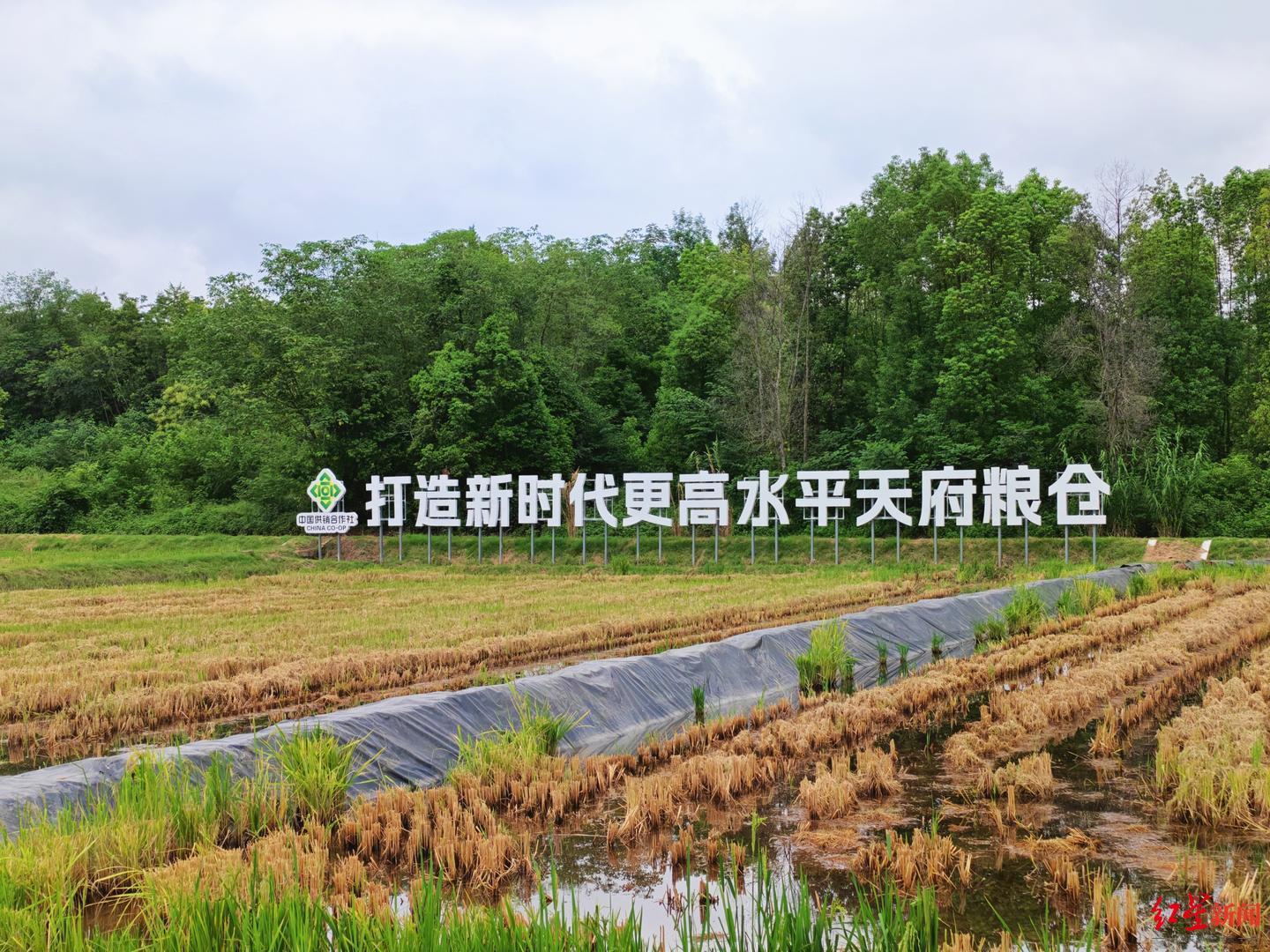 图4.jpg