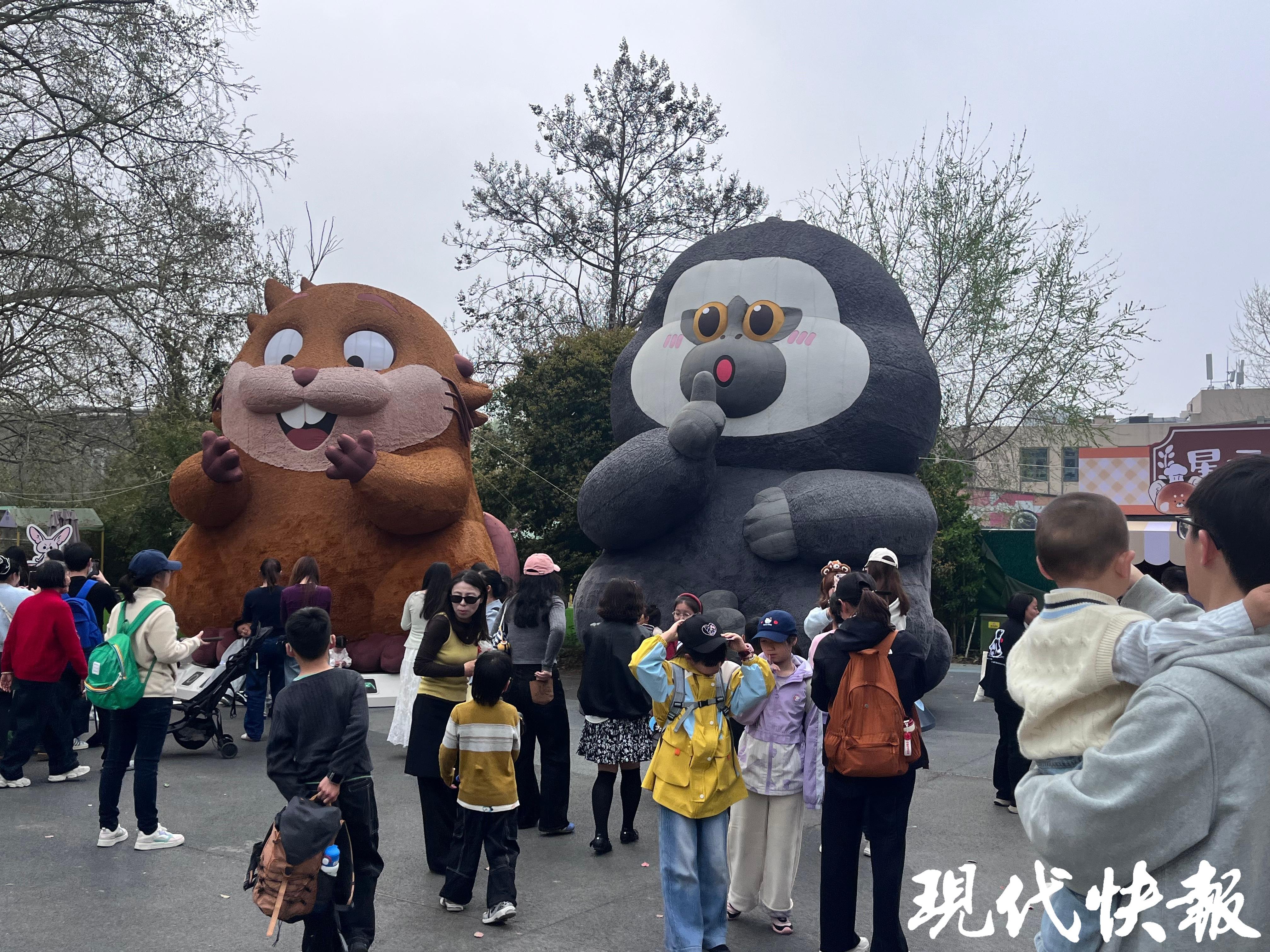 南京红山森林动物