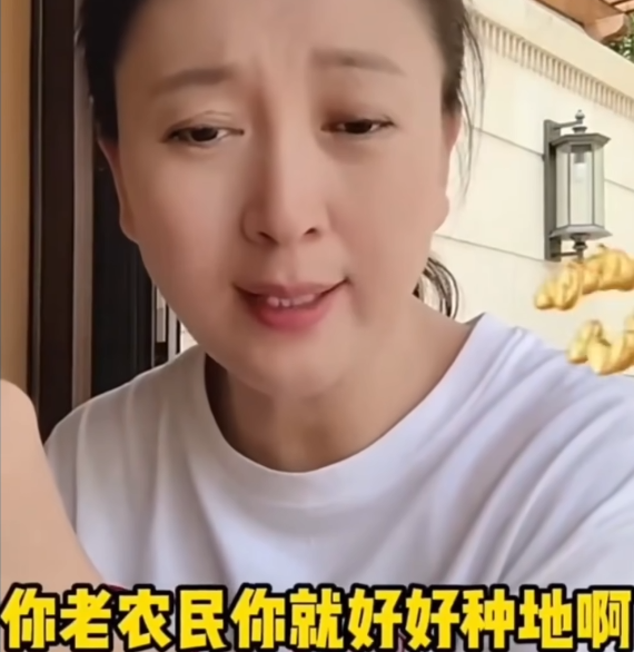 ▲闫学晶直播(图/视频截图)