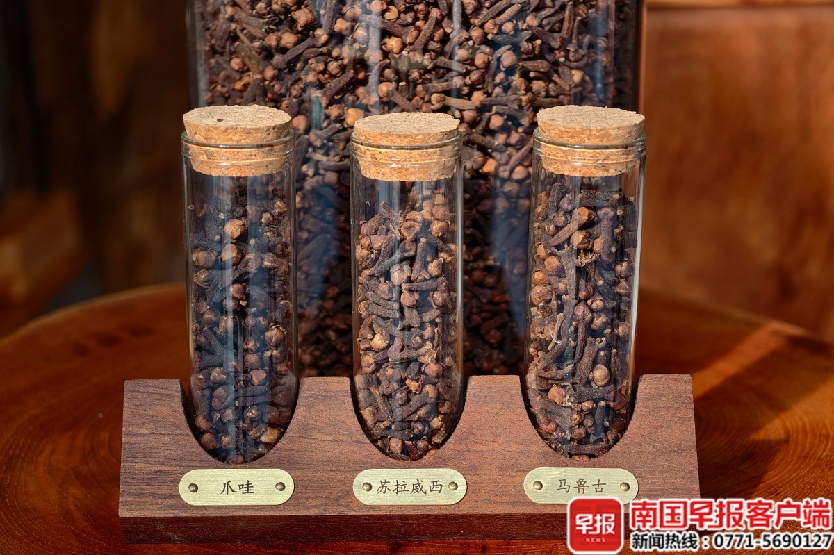 印尼丁香。