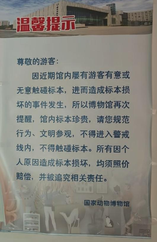 国家动物博物馆禁止触摸标本温馨提示