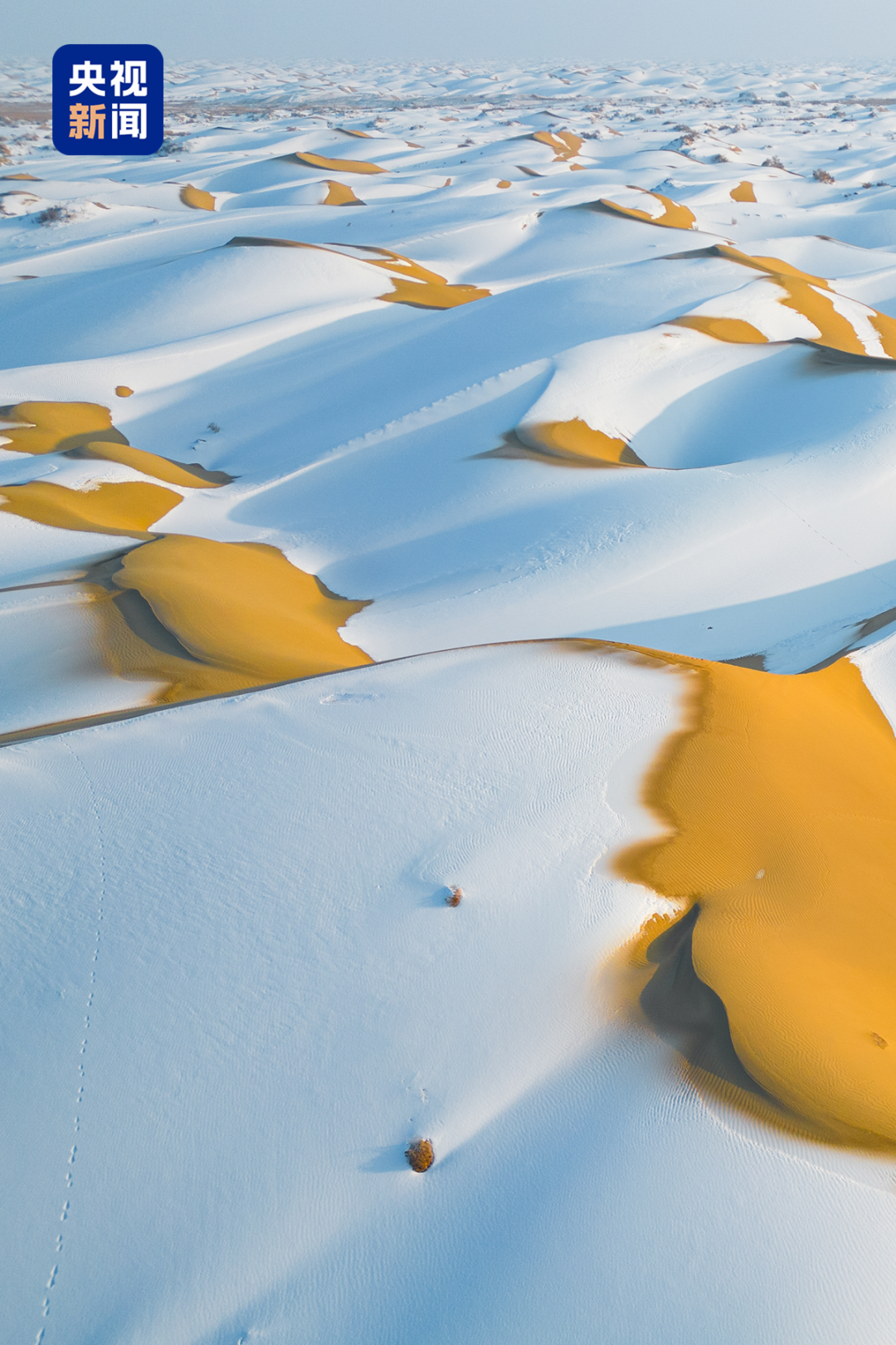 △冬日塔克拉玛干沙漠。摄/汪志鹏