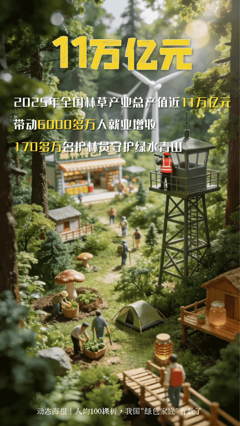 人均100棵树!一组动态海报看我国“绿色家底”