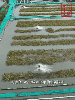 10月5日(4).gif