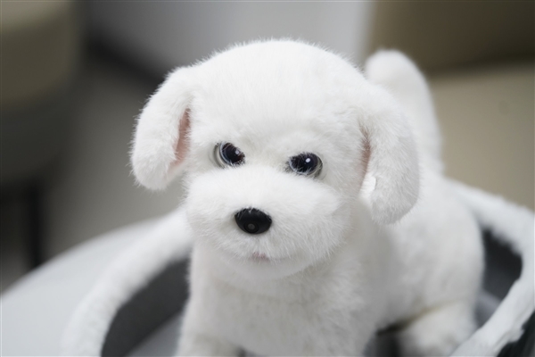 会撒娇能成长!科沃斯毛团陪伴机器人图赏